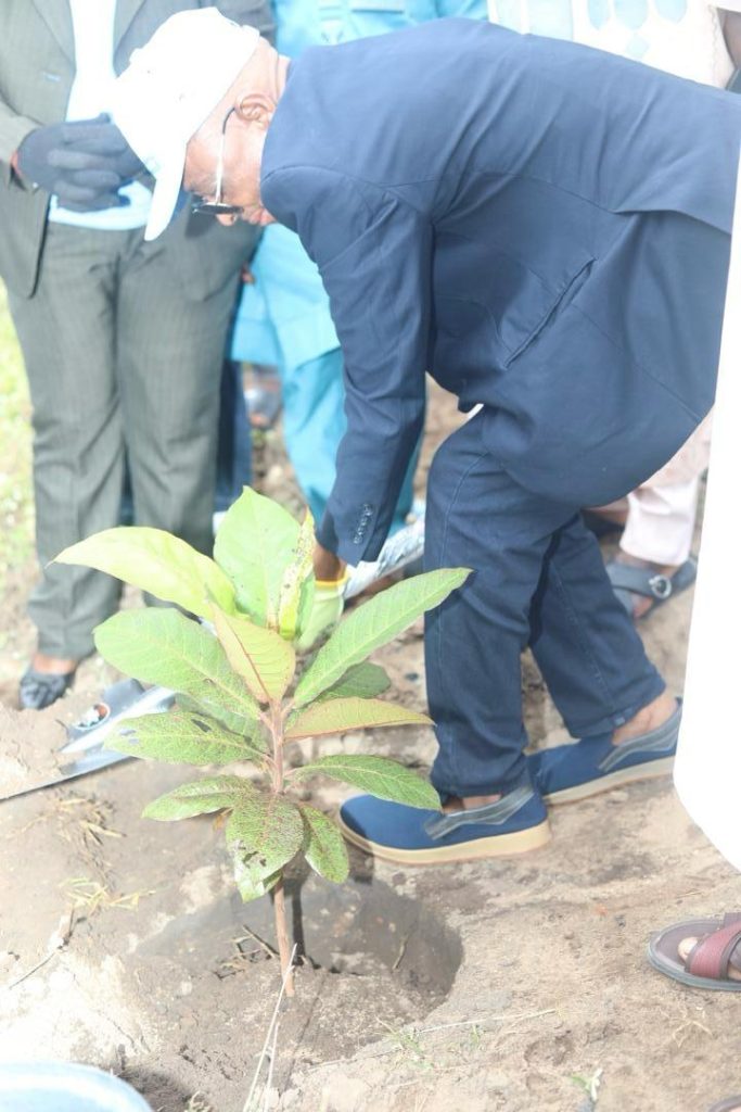 Symbolic Tree planting exercise to commemorate the Rivers Day 👆