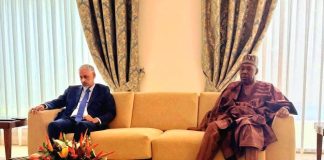Zulum Seeks AfDB Partnership to Drive Borno's Post-Conflict Recovery