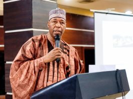 Borno State Governor, Professor Babagana Umara Zulum