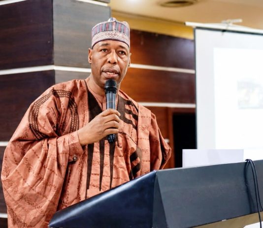 Borno State Governor, Professor Babagana Umara Zulum