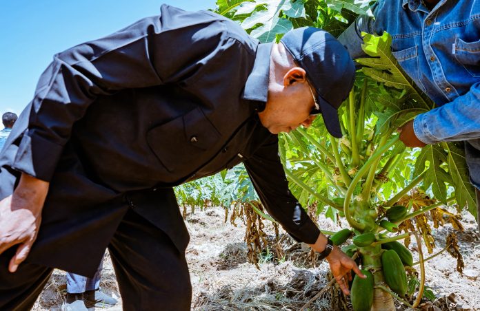 Nigeria Embarks On Mega-Infrastructure Drive To Power Agrifood Boom