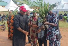 FG, Anambra Government, TechSave Disburse 2000 Improved Palm Seedlings To Farmers