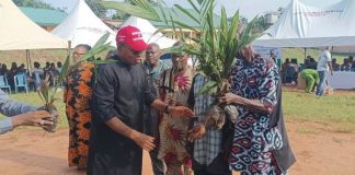 FG, Anambra Government, TechSave Disburse 2000 Improved Palm Seedlings To Farmers