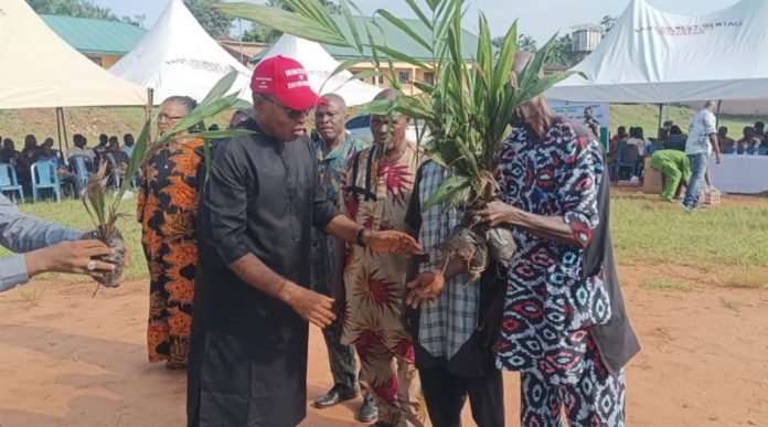 FG, Anambra Government, TechSave Disburse 2000 Improved Palm Seedlings To Farmers
