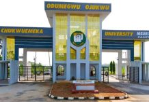 Soludo Approves Full Implementation Of 2025 FG-ASUU Agreement For COOU Staff