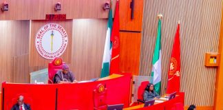 Senate Moves to Decriminalise Attempted Suicide, Advances Bill for National Prevention and Rehabilitation Framework