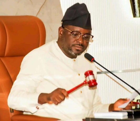 Benue Assembly Passes State Police Bill, Moves To Revive Radio Benue Substation