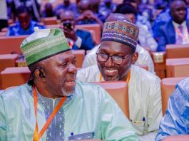 NBC DG Advocates For Negotiation And Brotherhood In African Border Governance At Abidjan Border Forum