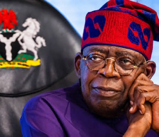2027: Imo APC Mobilisation Group Credits Tinubu's Programmes For Grassroot Support