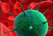 Ebola