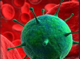 Ebola