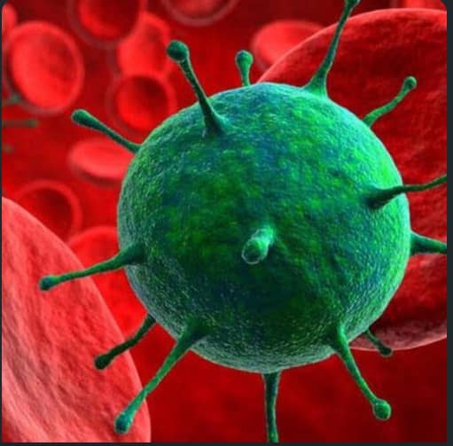 IMG-20261023-WA0018 Ebola
