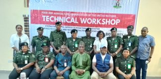 FG, FAO Intensify Efforts To Contain Avian Influenza, Strengthen Animal Movement Control