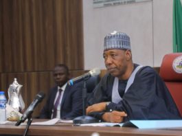 Borno State Governor, Professor Babagana Umara Zulum
